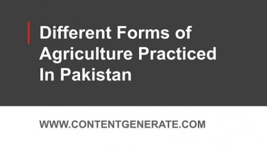 Different Forms of Agriculture Practiced In Pakistan
