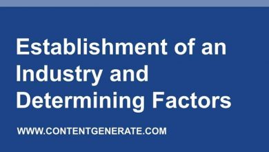 Establishment of an Industry and Determining Factors