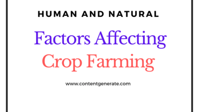 Natural and Human Factors Affecting Crop Farming