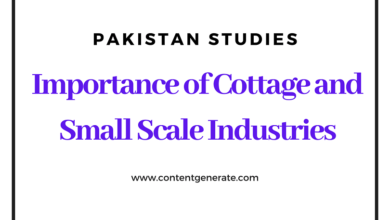Importance of Cattage and Small Scale Industries