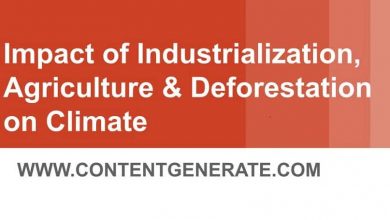 Impact of industrialization, agriculture and deforestation on climate