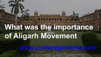 What was the importance of Aligarh Movement