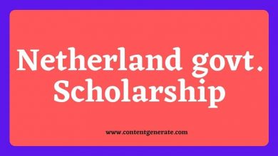 Netherlands govt scholarship