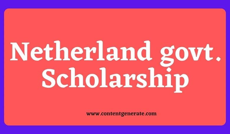 Netherlands govt scholarship