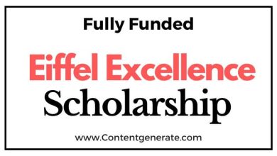 Eiffel Excellence Scholarship 2024-2025