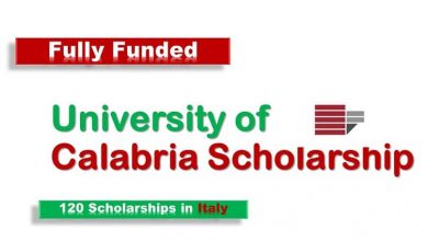 University of Calabria Scholarships