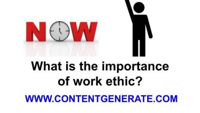 What is the importance of work ethic?
