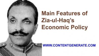 Main Features of Zia-ul-Haq’s Economic Policy