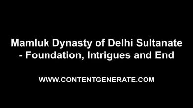 Mamluk Dynasty of Delhi Sultanate - Foundation, Intrigues and End