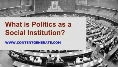 What is Politics as a Social Institution?