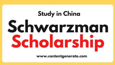 Schwarzman Scholarship China 2022