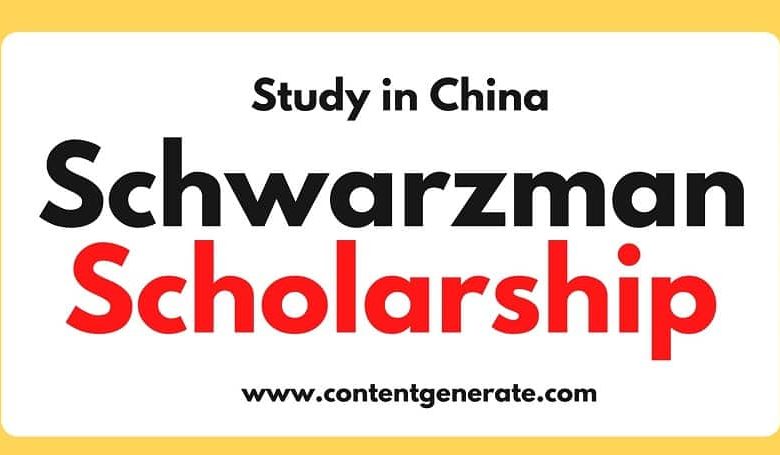 Schwarzman Scholarship China 2022