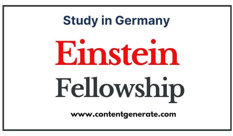 Einstein Fellowship 2024